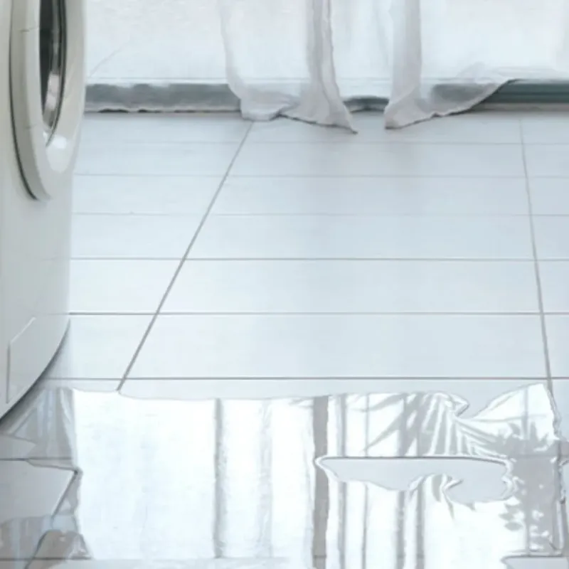 Appliance Leak Cleanup in Keokea, HI